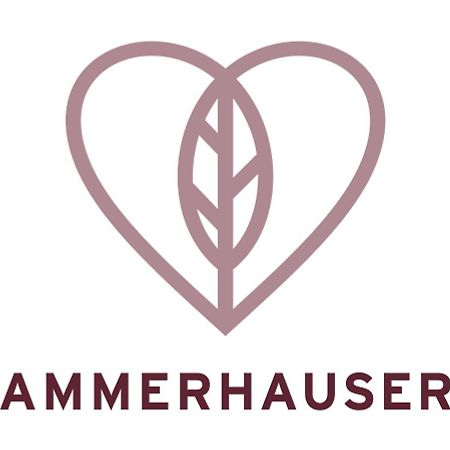 Hotel-Restaurant Ammerhauser Anthering Exteriér fotografie